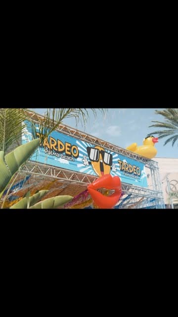 Carnaval de Verano